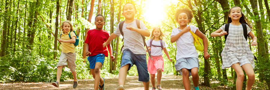 Kinder rennen durch den Wald